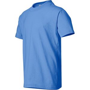 Carolina Blue AIM-1958264