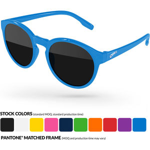 Vicky Sunglasses w/ Full Color Temple Im AIM-2006166