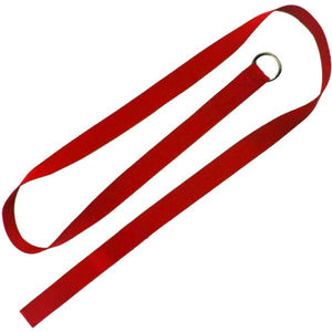 60" Slip Leash AIM-2007987