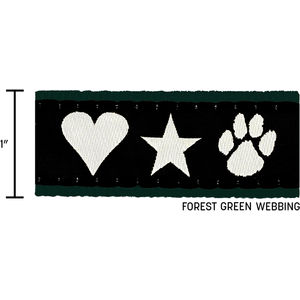 Forest Green Closest To Pms 5535 AIM-2008053