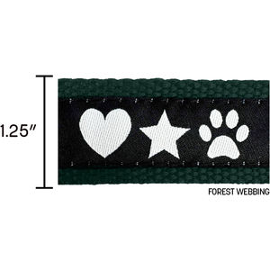 Forest Green Closest To Pms 5535 AIM-2008056