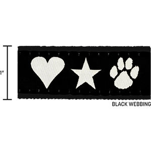 1" X 72" Woven Leash w/ Nickel AIM-2008289