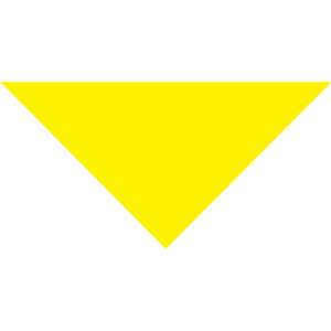 Bright Yellow AIM-2008367