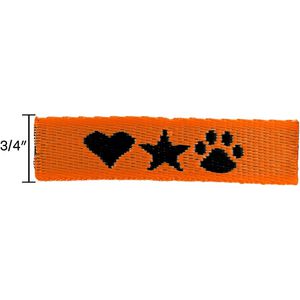 Orange Closest To Pms 1665 AIM-2008396