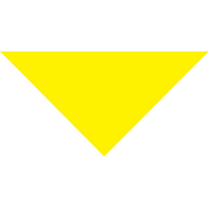 Bright Yellow AIM-2008458