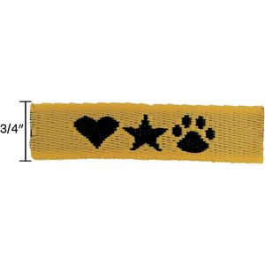 Gold Closest To Pms 146 AIM-2021709