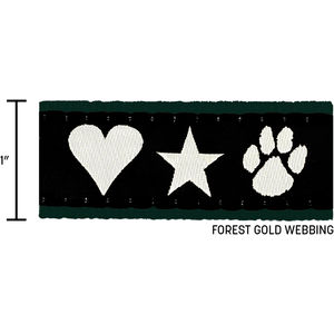 Forest Green Closest To Pms 5535 AIM-2021751