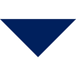 Domestic Pet Bandanna AIM-2021831