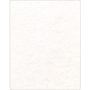 Pet Shammy Towel AIM-2031282