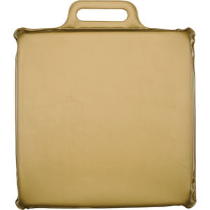 Metallic Gold Seat Cushion AIM-2123270