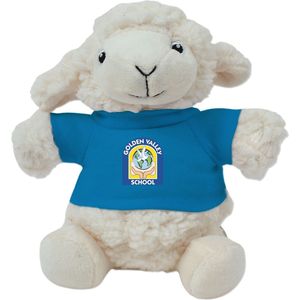 Turquoise AIM-2227061