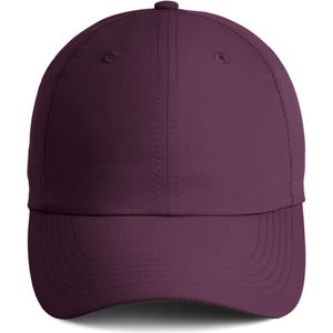 Aubergine AIM-2233206