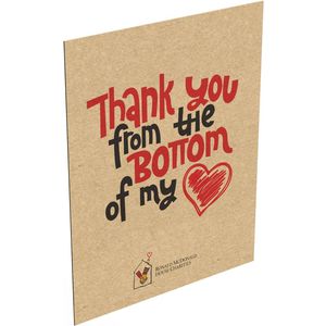 Kraft/lined AIM-2258892