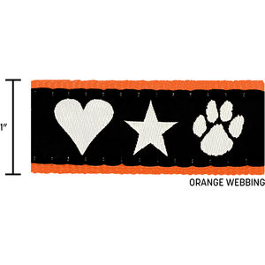 Orange Closest To Pms 1665 AIM-2266993