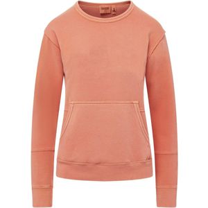 Tangy Tangerine AIM-2282138